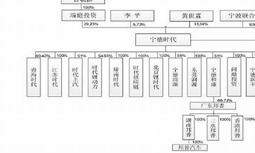 比亚迪集团组织架构的发展_比亚迪集团组织架构