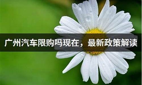 广州购车限制_广州汽车限购政策最新规定