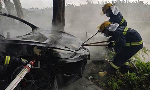 广州一特斯拉碰撞后起火,车上乘客当场死亡,广州特斯拉撞树自燃