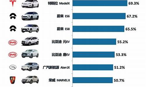 新能源汽车品牌排行榜前十名_新能源电汽车动车品牌前十名