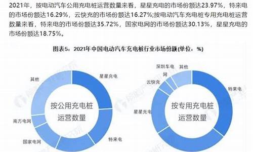 电动汽车电池市场份额_电动汽车电池市场调研