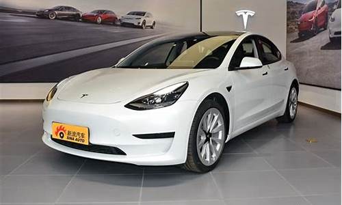 2021年特斯拉model3价格_2021特斯拉model3价格